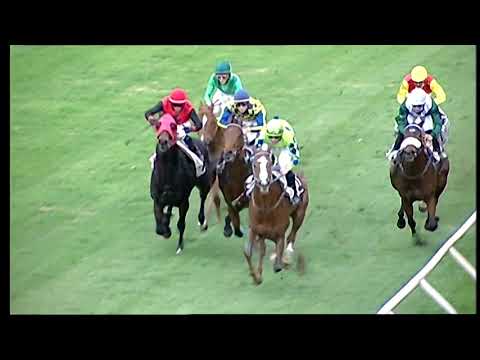 Galoppo 24/12/2020 - 4ª corsa