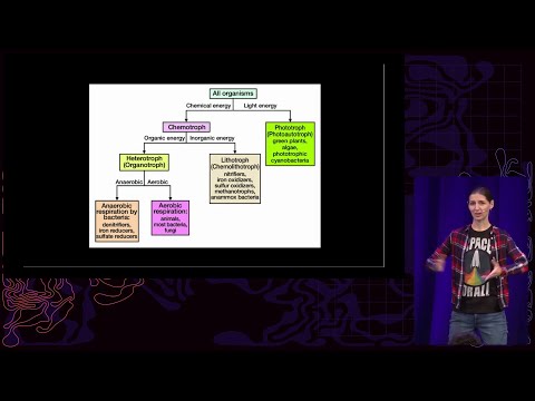 Video Thumbnail: 38C3 - Microbes vs. Mars: A Hacker's Guide to Finding Alien Life