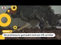 Deze kalkoen heeft een kunstpoot