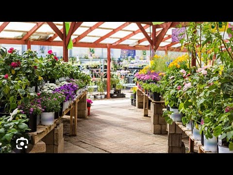 2025 ka last visit  kya nursery ma / nursery view/ most beautiful place in rajouri