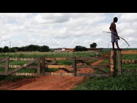 #plantão #urgente 🌏🎯 POVO GUARANI-KAIOWÁ SOB ATAQUE🌏🎯 19/04/25