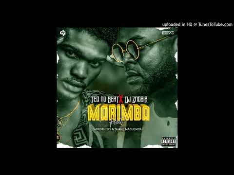 Teo No Beat x Dj Znobia Feat. D-Brothers & Shane Maquemba - Marimba (Tarraxinha) (Áudio)