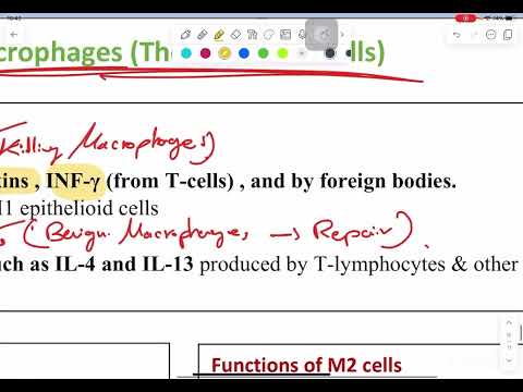 Revisão de patologia geral - Inflamação parte 3