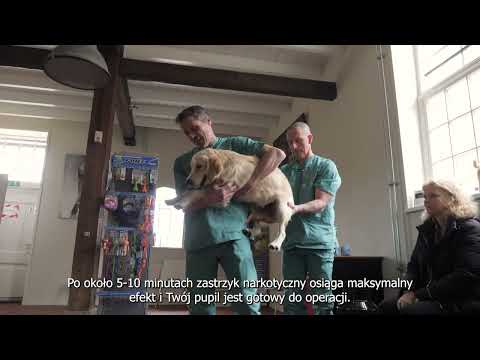 2. Verloop van de operatie Pools