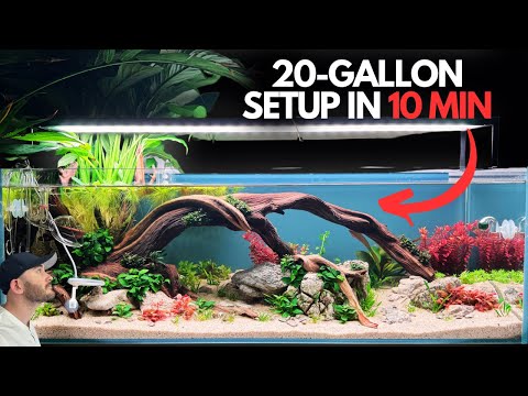 How to Set Up a 20-Gallon Aquarium (Beginner's Guide in 10minutes)