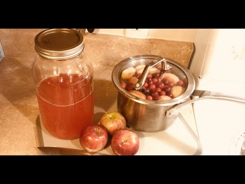HOW TO MAKE KOMPOT (FRUIT JUICE)