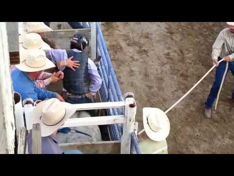 CJ Cash Bull Ride, 2013 SVPP Old Time Rodeo