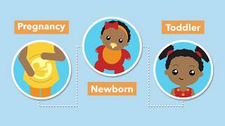 Brain Development &amp; the Census