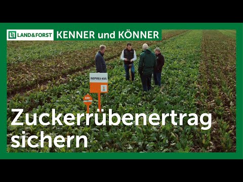 Zuckerrübenertrag sichern | LAND & FORST I Expertengespräch