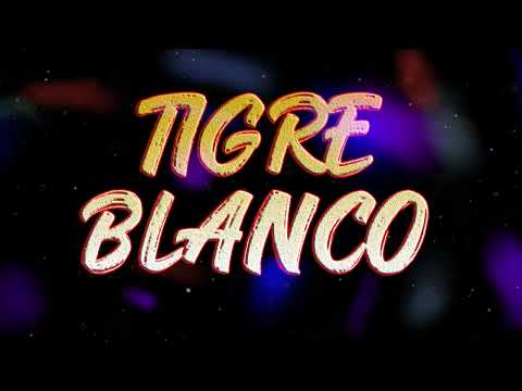 EL TIGRE BLANCO - AAA THEME SONG 2024