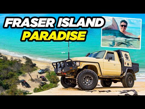 FRASER ISLAND MADNESS! MARLIN caught 50m off the beach + BEST BEACH CAMP IN AUS! 4WD24/7 on K'Gari