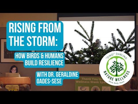 Dr. Geraldine Oades-Sese: Rising From The Storm - "Ding" Wellness Week Lecture 2023