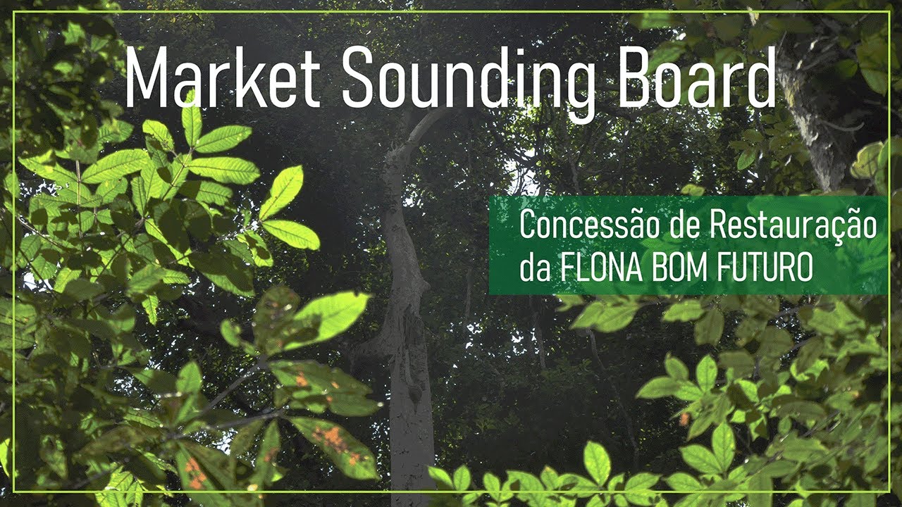 Market Sounding Board