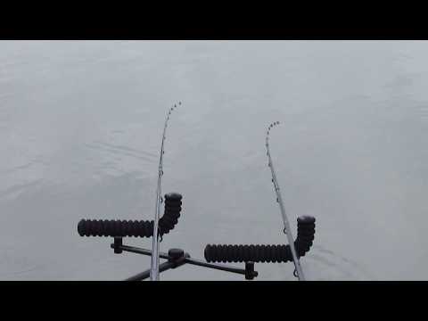 BEST FISHING VIDEO - FEEDER FISHING - Method Feeder & Crazy Carp