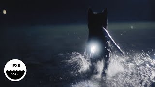 Orbiloc Green LED světlo na obojek