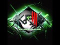Skrillex ft. Adele - Set Fire to everybody 