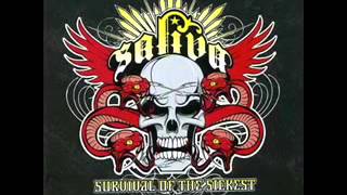 Saliva Sex Drugs Rock N Roll