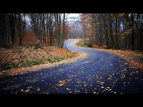 Noua sosea spre Goles, satul aproape pustiu din Ținutul Pădurenilor