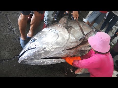 Giant Bluefin Tuna cutting for SashimiDonggang fish market Taiwan