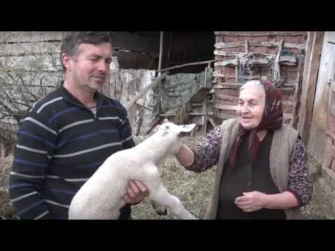 Agro karavan ep.73 Bela Palanka - 21.04.2019.