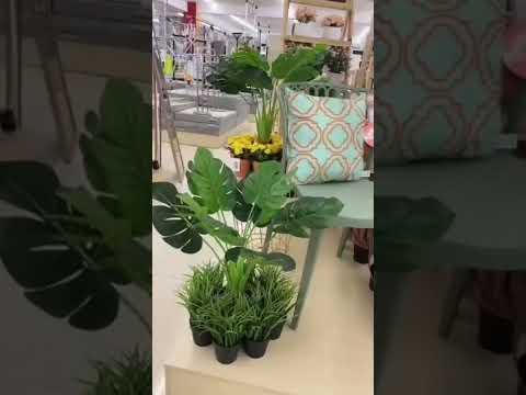 inspirasi taman rumah by Selma🥰🥰