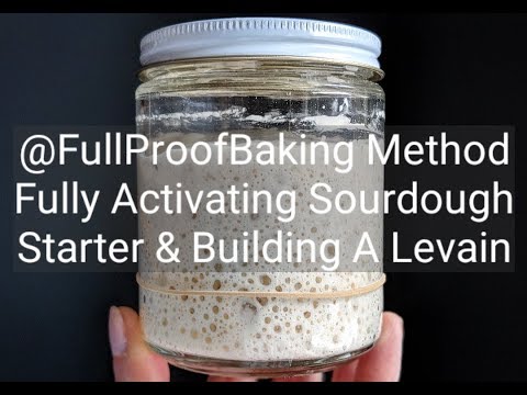 Activating Sourdough Starter & Building A Levain