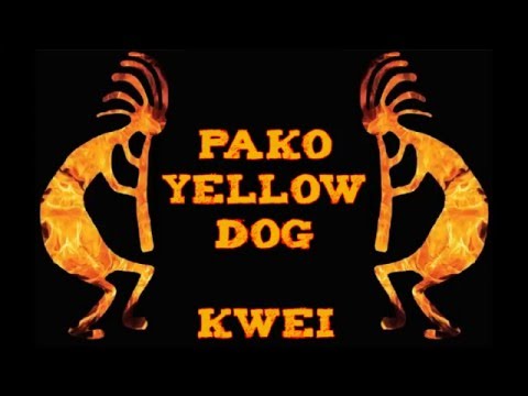 Pako Yellow Dog - Kwei