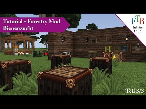 FTB ★ Tutorial ★ Forestry Mod ★ Bienen züchten [3/3]