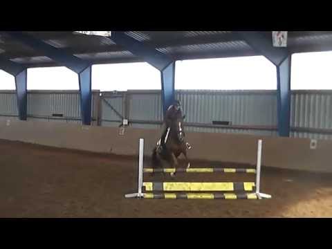 Salieri v.  Sir Donnerhall Springen