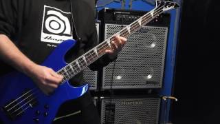 SLAYER CRIONICS BASS COVER