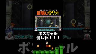 見ずにボスギャル！！奇跡の瞬間！！！【目隠しマリオ】