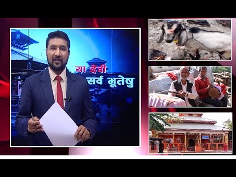 बली दिने शक्तिपीठहरुमा यस वर्ष कसरी पूजा भयो ? ISSUE OF THE DAY