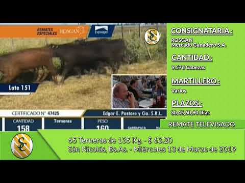 13-03-19 - Venta de Hembras - Remate Televisado de ROSGAN - San Nicolás
