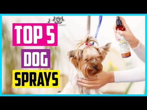✅ Top 5 Best Dog Sprays In 2022 Review & Buying Guides