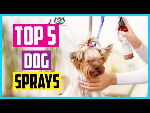 YouTube video about: What is the best smelling dog cologne?
