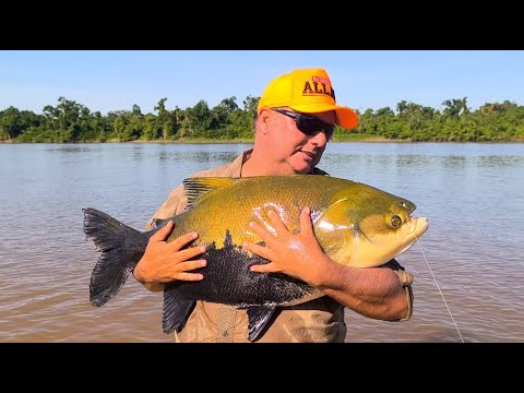 Temporada Rio Araguaia 2024