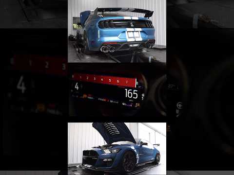 Shelby GT500 Dyno Run! 🏎️