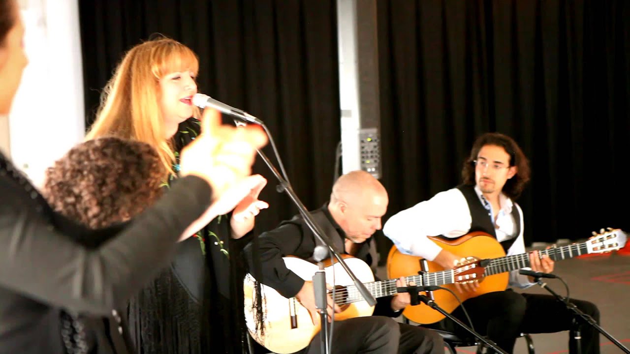 Promotional video thumbnail 3 for The Martin Metzger Flamenco Ensemble