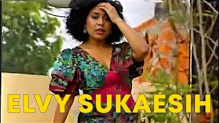 Download lagu Elvy Sukaesih - Sunyi Dan Duka | Dangdut ( Music Video) mp3