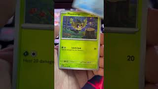 Twilight Masquerade Hunting Greninja!!! #pokemon #pokemonchannel #pokemoncards #pokemontcg #roadto2k