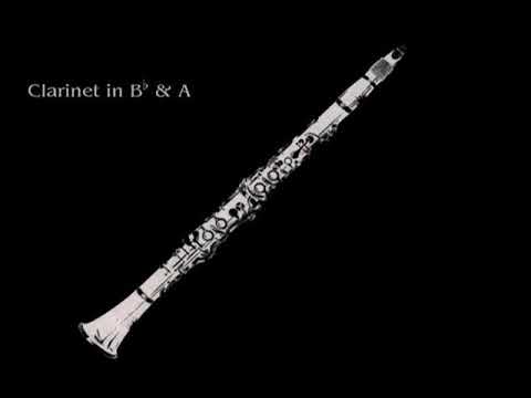 23 Clarinets - Clarinet Choir - Haydn, Armida Ouverture