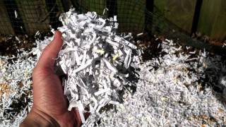 Shredded Paper for Compost or Mulch