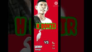 Download lagu lenong betawi SI JANTUK bango vs tilil mp3