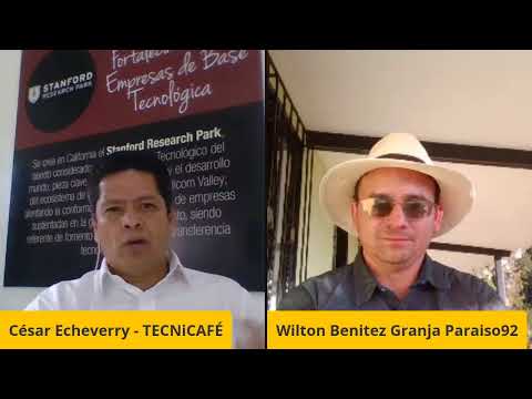 Cafés de Alta Calidad: Procesos que marcan la diferencia