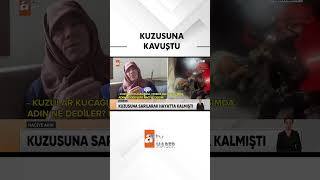 Naciye nine kuzusuna kavuştu #atvhaber  #Naciyenine #antalya