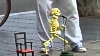 Good Golly Miss Molly Just Watch This Skeleton Dance