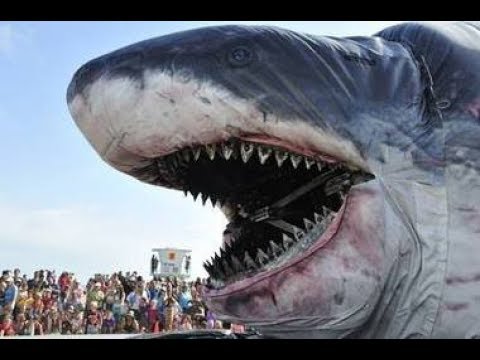 Megalodon Vs Giant Squid