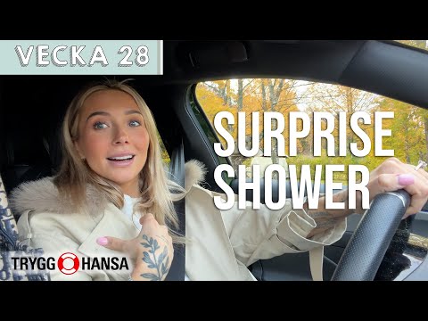 SURPRISE BABYSHOWER – Nicci Hernestig v28