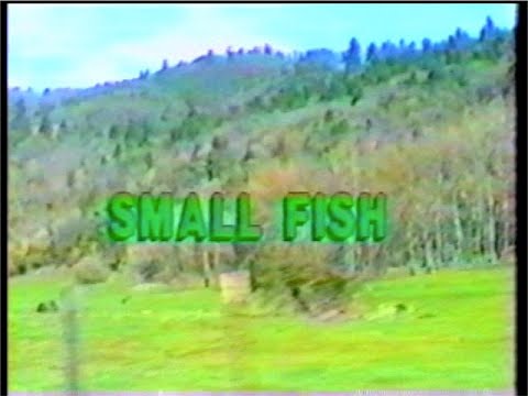Small Fish - EPK 1991 (Electronic Press Kit)