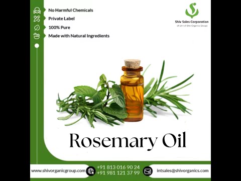 Rosemary Essential Oil